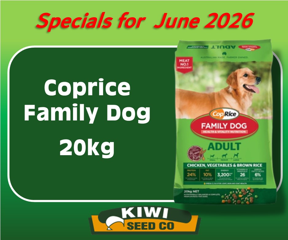 June_Advert.jpg
